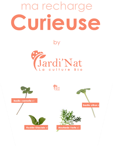 [INNOV22] Bio-capsule Curieuse